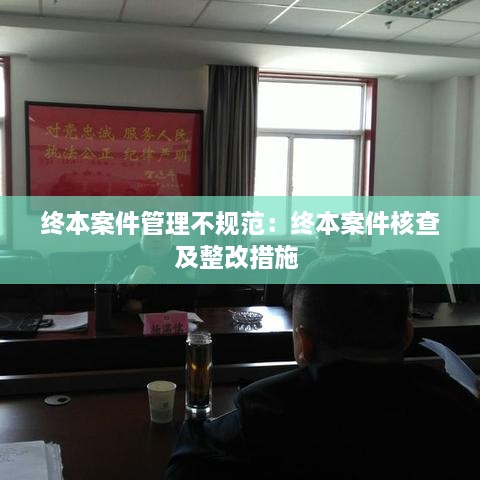 终本案件管理不规范：终本案件核查及整改措施 