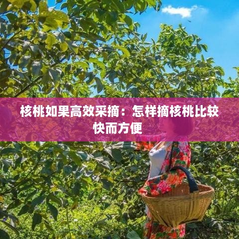 核桃如果高效采摘：怎样摘核桃比较快而方便 