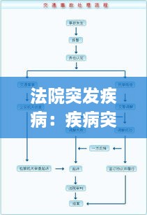 法院突发疾病：疾病突发处置流程说明 