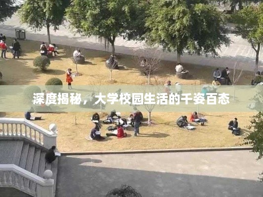 深度揭秘，大学校园生活的千姿百态