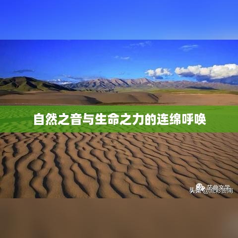 自然之音与生命之力的连绵呼唤