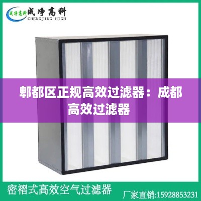 郫都区正规高效过滤器：成都高效过滤器 