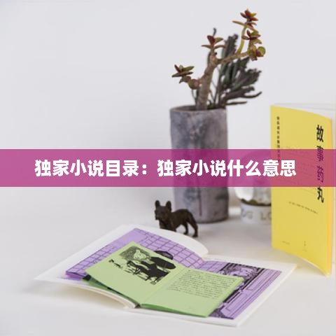 独家小说目录：独家小说什么意思 