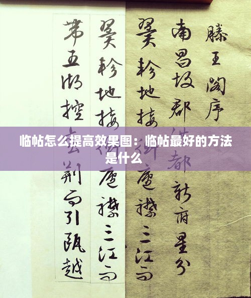 还醇返朴 第3页