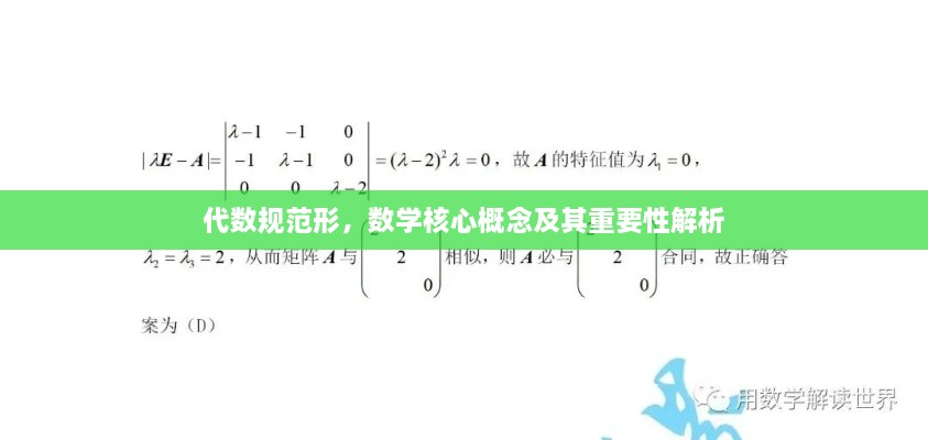 代数规范形，数学核心概念及其重要性解析