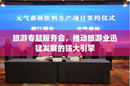旅游专题服务会，推动旅游业迅猛发展的强大引擎