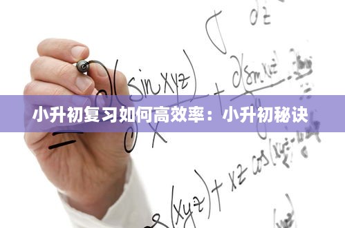 小升初复习如何高效率：小升初秘诀 