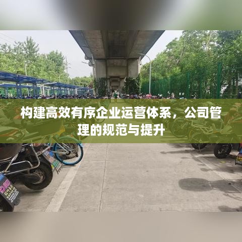 构建高效有序企业运营体系，公司管理的规范与提升