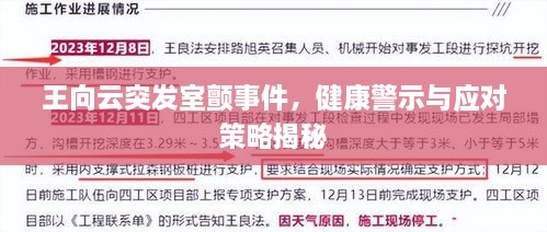 王向云突发室颤事件，健康警示与应对策略揭秘