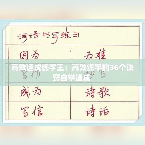 高效速成练字王：高效练字的36个诀窍自学速成 