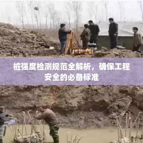 桩强度检测规范全解析，确保工程安全的必备标准