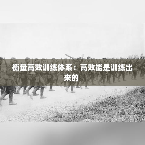 衡量高效训练体系：高效能是训练出来的 