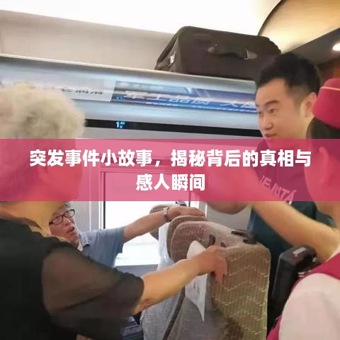 突发事件小故事，揭秘背后的真相与感人瞬间