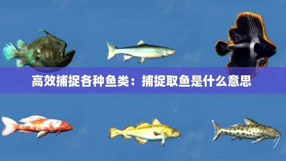 高效捕捉各种鱼类：捕捉取鱼是什么意思 