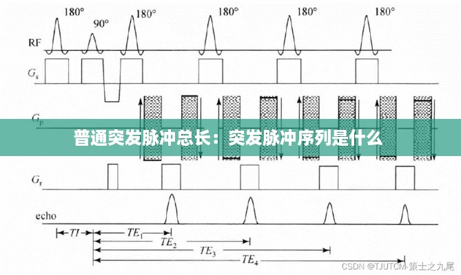 普通突发脉冲总长：突发脉冲序列是什么 