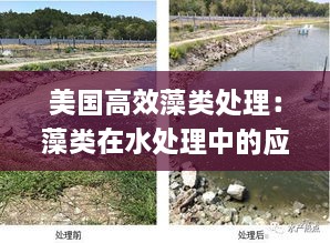 美国高效藻类处理：藻类在水处理中的应用 