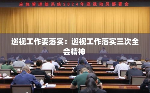 巡视工作要落实：巡视工作落实三次全会精神 
