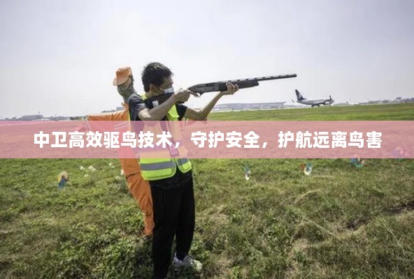 中卫高效驱鸟技术，守护安全，护航远离鸟害