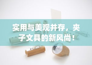 实用与美观并存，夹子文具的新风尚！
