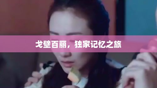 戈壁百丽，独家记忆之旅
