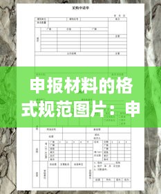 申报材料的格式规范图片：申报材料表格 
