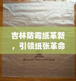 吉林防霉纸革新，引领纸张革命风潮