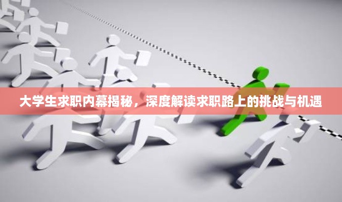 大学生求职内幕揭秘，深度解读求职路上的挑战与机遇