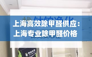 上海高效除甲醛供应：上海专业除甲醛价格 