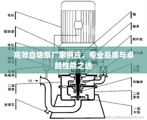 高效自吸泵厂家供应，专业品质与卓越性能之选