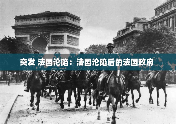 突发 法国沦陷：法国沦陷后的法国政府 