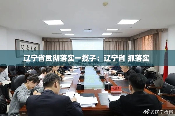 辽宁省贯彻落实一揽子：辽宁省 抓落实 