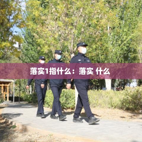 落实1指什么：落实 什么 