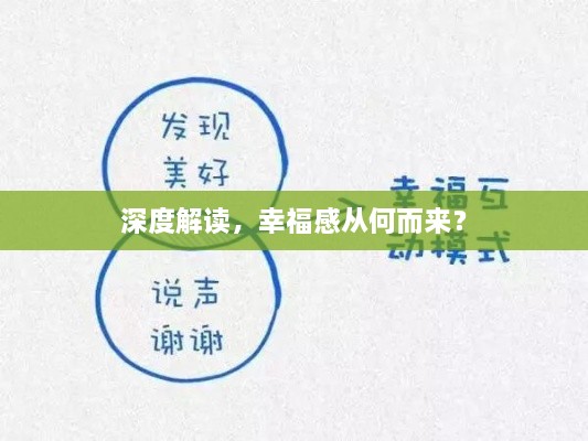 深度解读，幸福感从何而来？