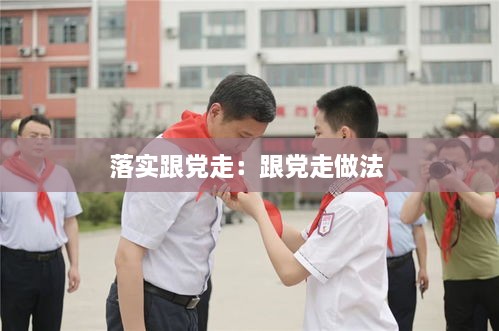 落实跟党走：跟党走做法 