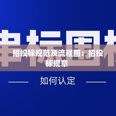 招投标规范及流程图：招投标规章 