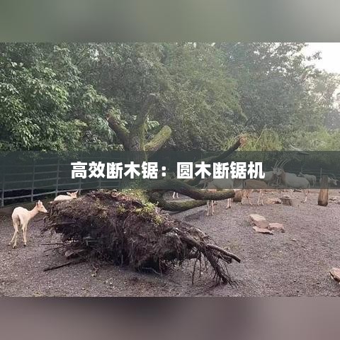 高效断木锯：圆木断锯机 