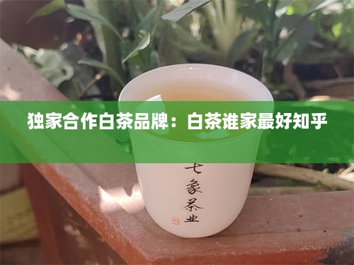 独家合作白茶品牌：白茶谁家最好知乎 
