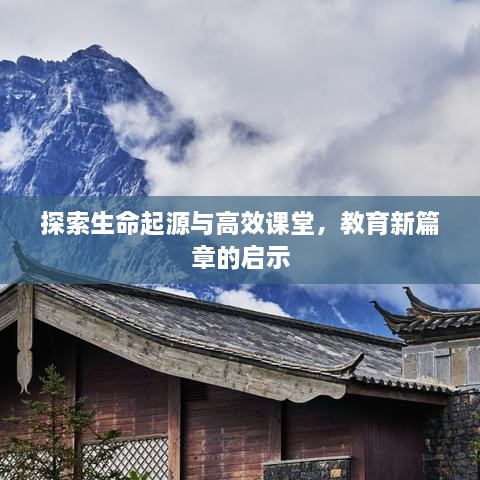 niaojingongzang 第2页