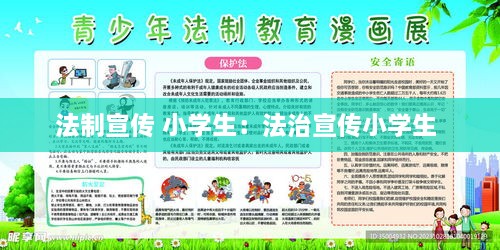 法制宣传 小学生：法治宣传小学生 