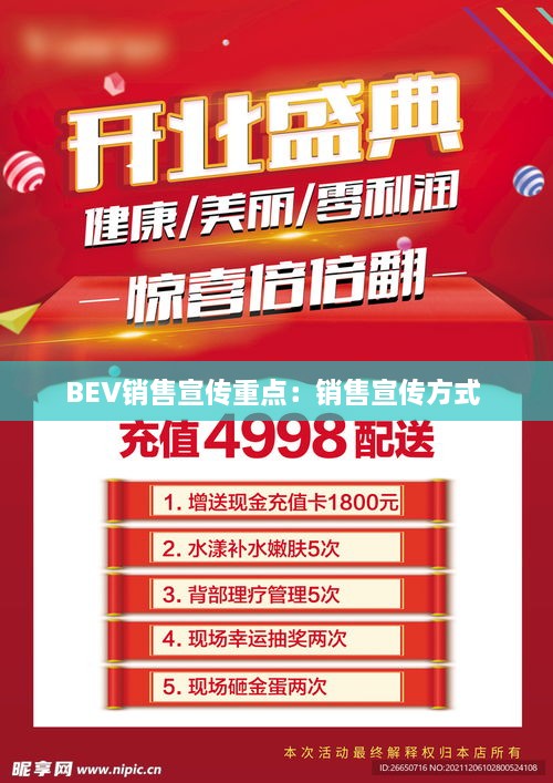 BEV销售宣传重点：销售宣传方式 