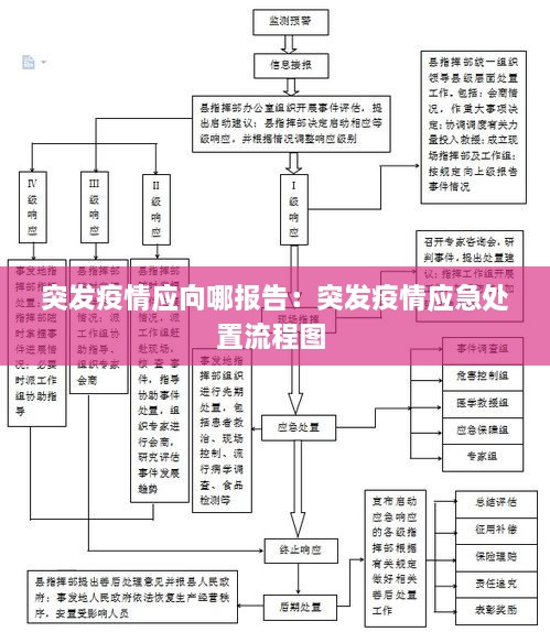 突发疫情应向哪报告：突发疫情应急处置流程图 
