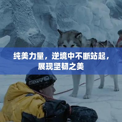 纯美力量，逆境中不断站起，展现坚韧之美