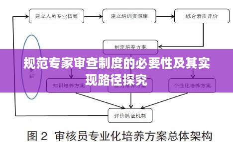 规范专家审查制度的必要性及其实现路径探究