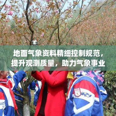 地面气象资料精细控制规范，提升观测质量，助力气象事业飞跃