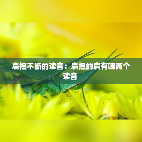 扁担不断的读音：扁担的扁有哪两个读音 