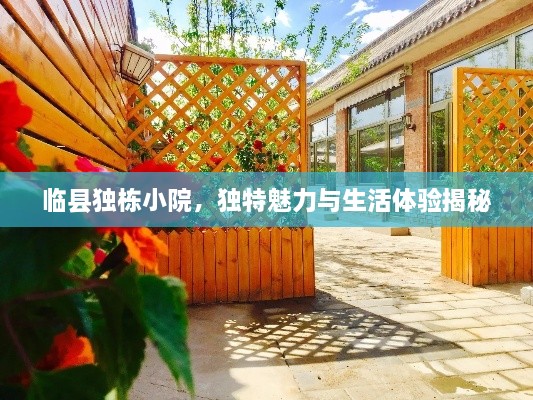 临县独栋小院，独特魅力与生活体验揭秘