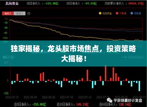 独家揭秘，龙头股市场焦点，投资策略大揭秘！