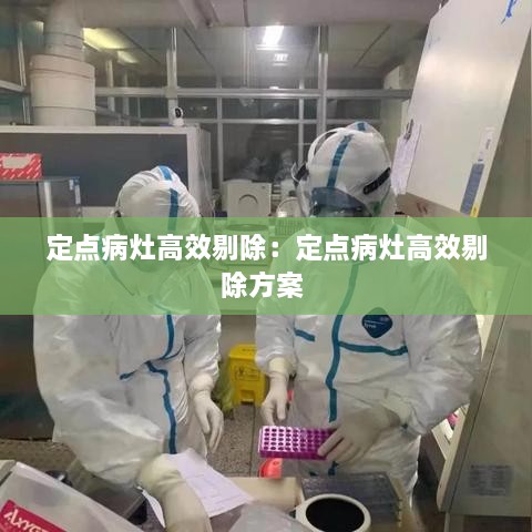 定点病灶高效剔除：定点病灶高效剔除方案 
