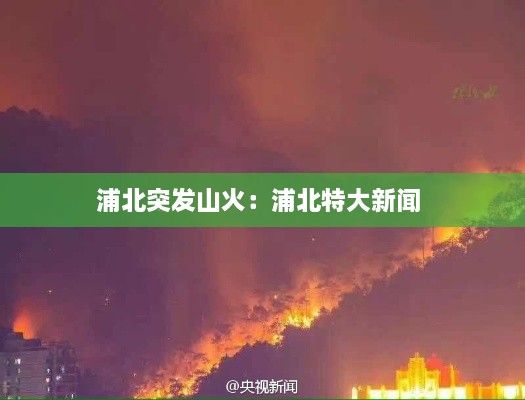 浦北突发山火：浦北特大新闻 
