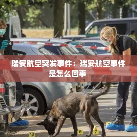 瑞安航空突发事件：瑞安航空事件是怎么回事 